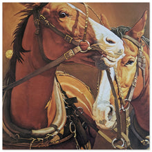 Load image into Gallery viewer, 05ce93c4-160d-453c-ae1e-82562553fdca