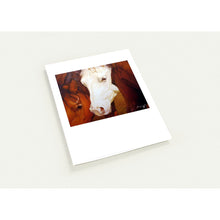 Load image into Gallery viewer, 304fd90c-db0d-4a2d-ae84-bb1347cf4b5c