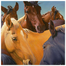 Load image into Gallery viewer, 7404ec0e-1de6-43d5-873e-477f32784c77