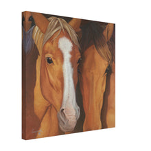 Load image into Gallery viewer, 7defb9cd-b68c-4ee3-95e8-58c7e5c6f61f