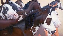 Load image into Gallery viewer, ARECO HARLEQUINS