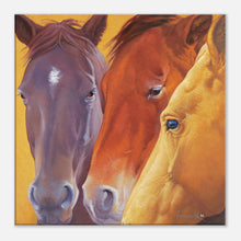 Load image into Gallery viewer, baa1c2d2-3db0-4199-8fbb-55fb267fe64d