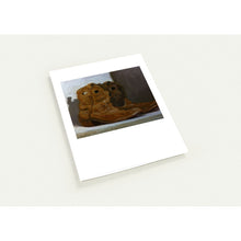 Load image into Gallery viewer, bcdba88e-7f6e-4784-b81e-f26f3e29b79d