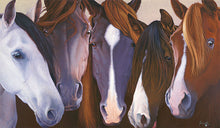 Load image into Gallery viewer, CINCO PASOS
