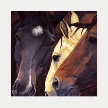 Load image into Gallery viewer, BUCKINSTOCK