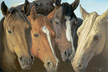 Load image into Gallery viewer, western style painting of 5 different colored horse