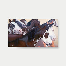 Load image into Gallery viewer, ARECO HARLEQUINS