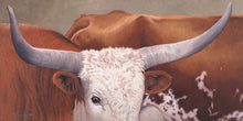 Load image into Gallery viewer, LONGHORN BULL
